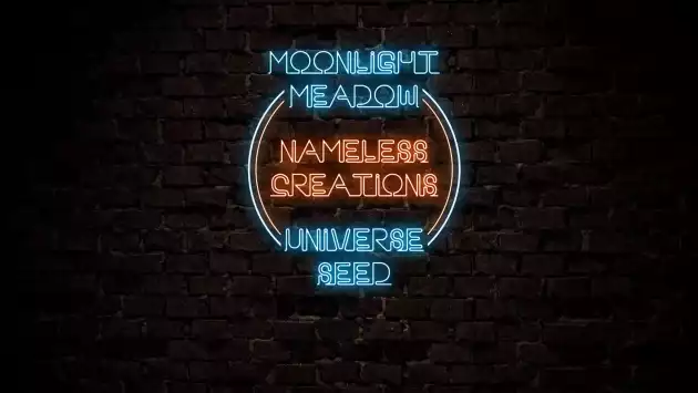 10.08 Moonlight Meadow / Nameless Creations / Universe Seed -Gig
