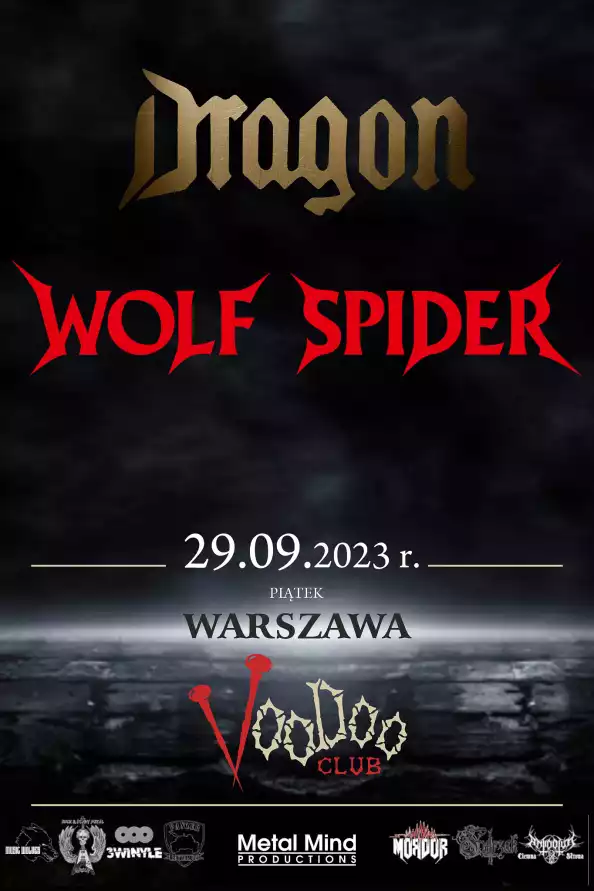 Dragon x Wilczy Pająk / Wolf Spider x NITOA I Warszawa I